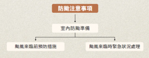 圖片3